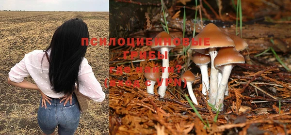 гашиш Костерёво