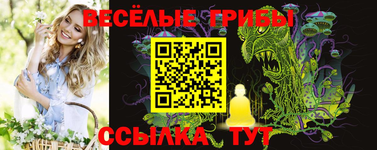 Галлюциногенные грибы Psilocybe Бирск