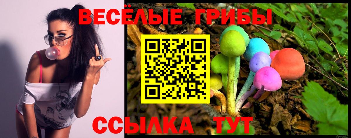 где купить наркоту  Вход с VPN  Бирск  Галлюциногенные грибы Psilocybe 